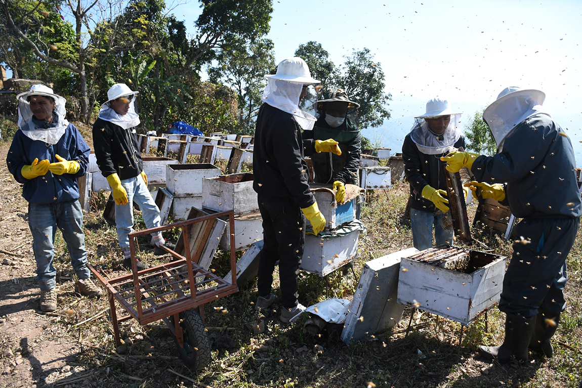 आजका तस्बिर- पुस ५