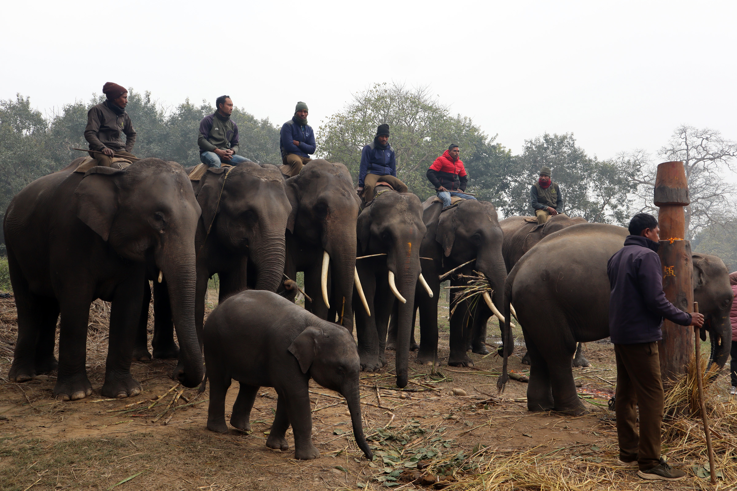 आजका तस्बिर- माघ १४