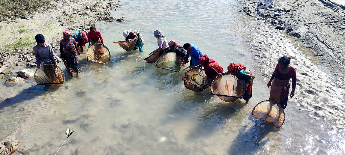 आजका तस्बिर- कात्तिक २६