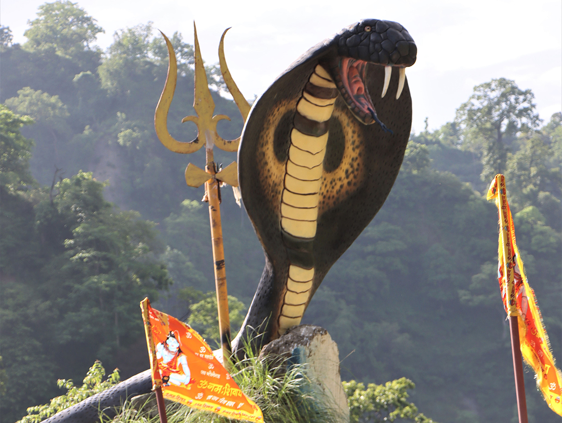 आजका तस्बिर- साउन १