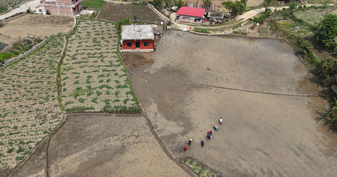 आजका तस्बिर- चैत १४