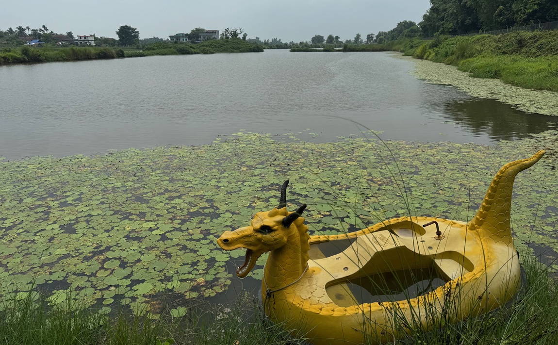 आजका तस्बिर- साउन २५