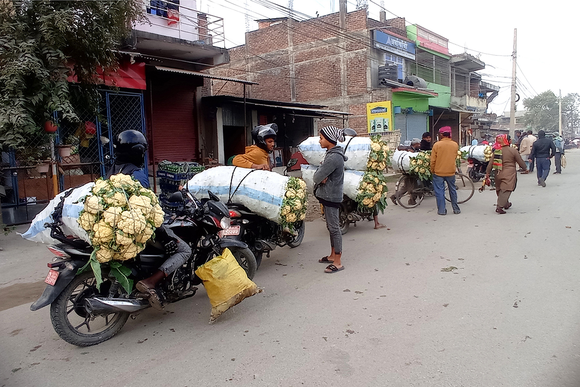 आजका तस्बिर-पुस ७