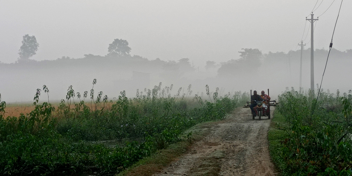 आजका तस्बिर- मंसिर २