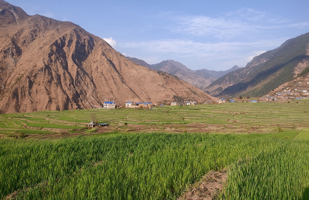 आजका तस्बिर- चैत ११