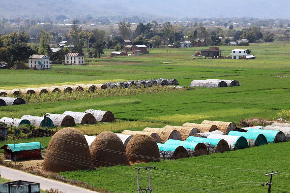 आजका तस्बिर- चैत ५