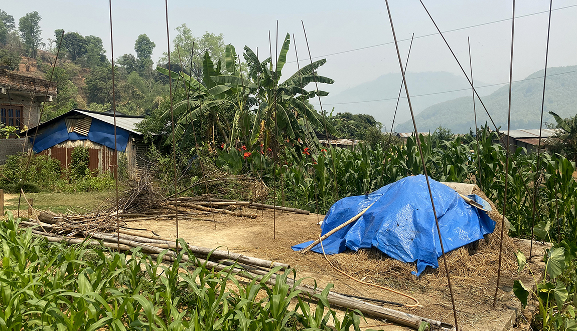 आजका तस्बिर- वैशाख २१