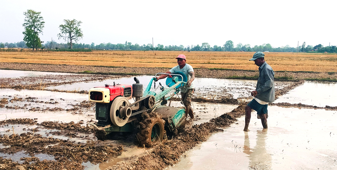 आजका तस्बिर- वैशाख ५