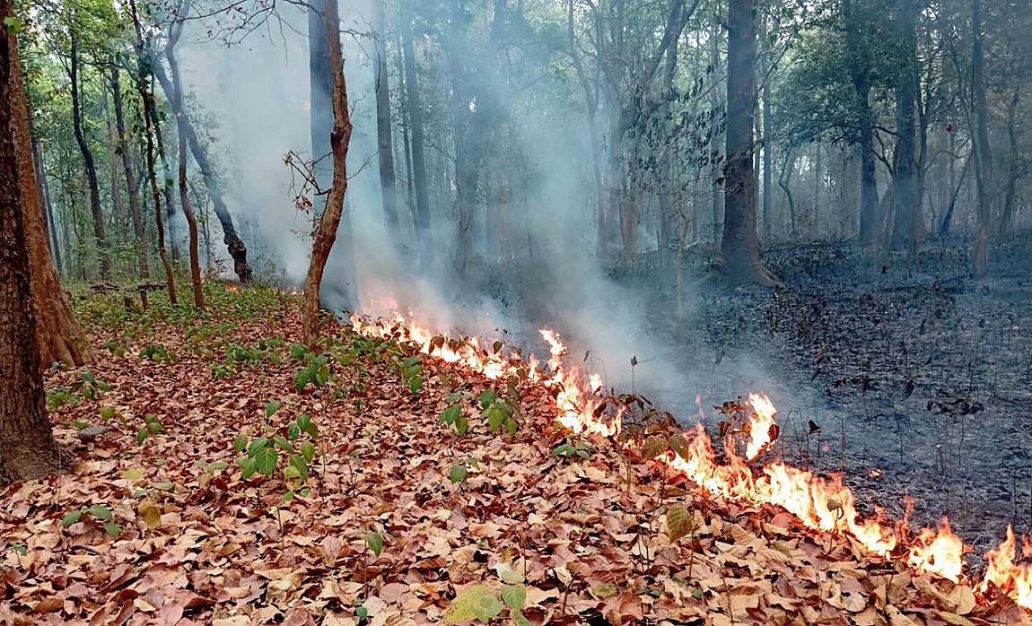 आजका तस्बिर- वैशाख १६