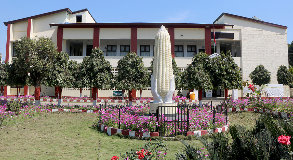 आजका तस्बिर- चैत ६