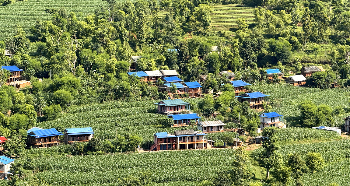 आजका तस्बिर- असार ३१