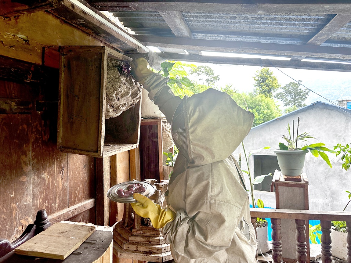 आजका तस्बिरः साउन १८