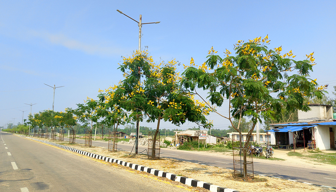 आजका तस्बिर- जेठ १४