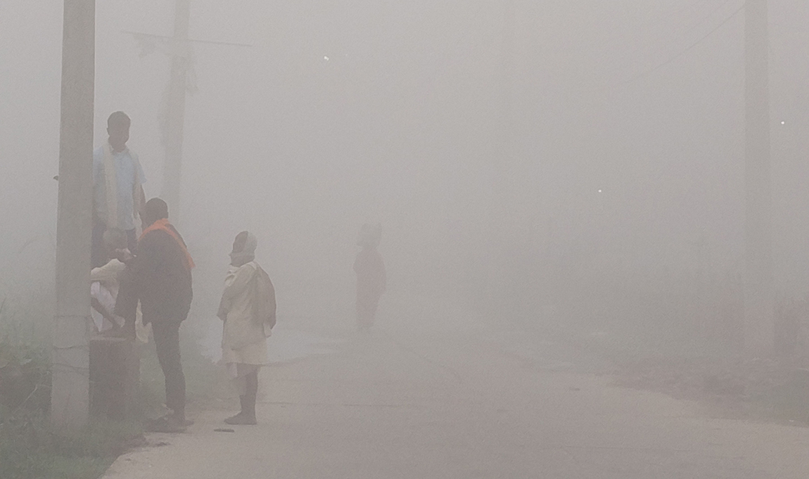 आजका तस्बिर- कात्तिक १८