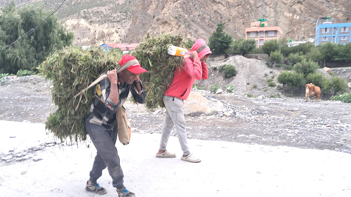 आजका तस्बिर- साउन २९