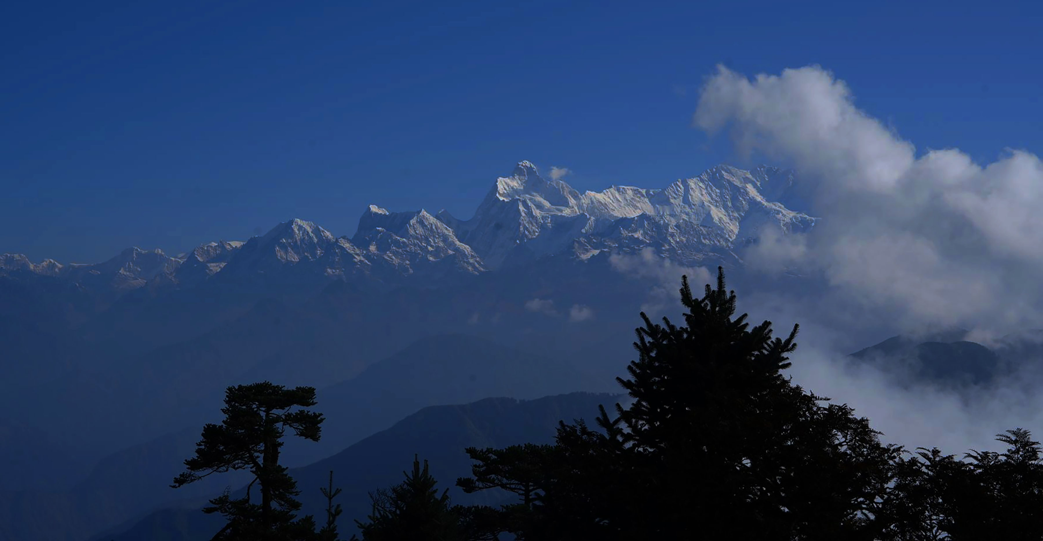 आजका तस्बिर- कात्तिक ५