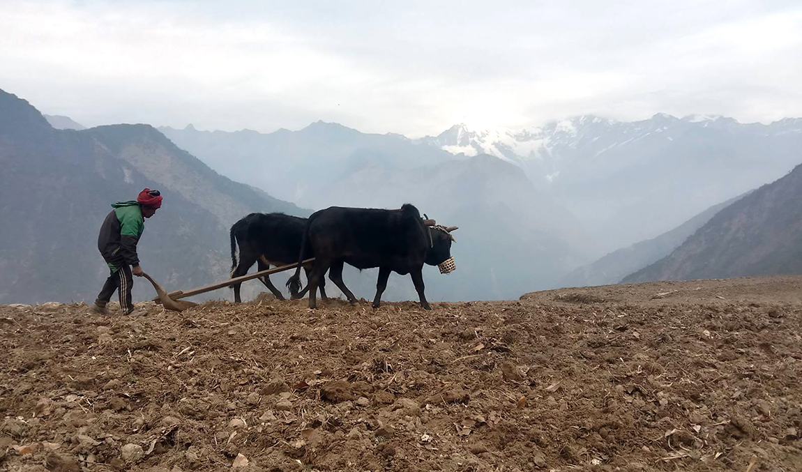 आजका तस्बिर- जेठ ७