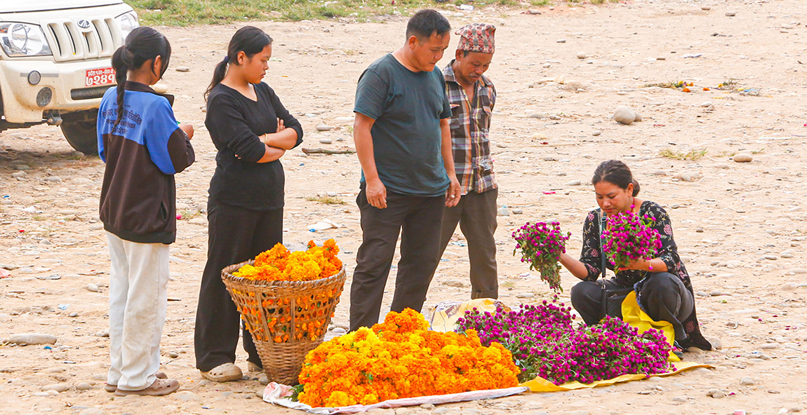 आजका तस्बिर- कात्तिक १६