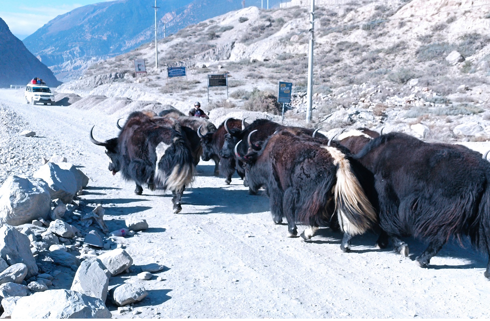 आजका तस्बिर- कात्तिक २५