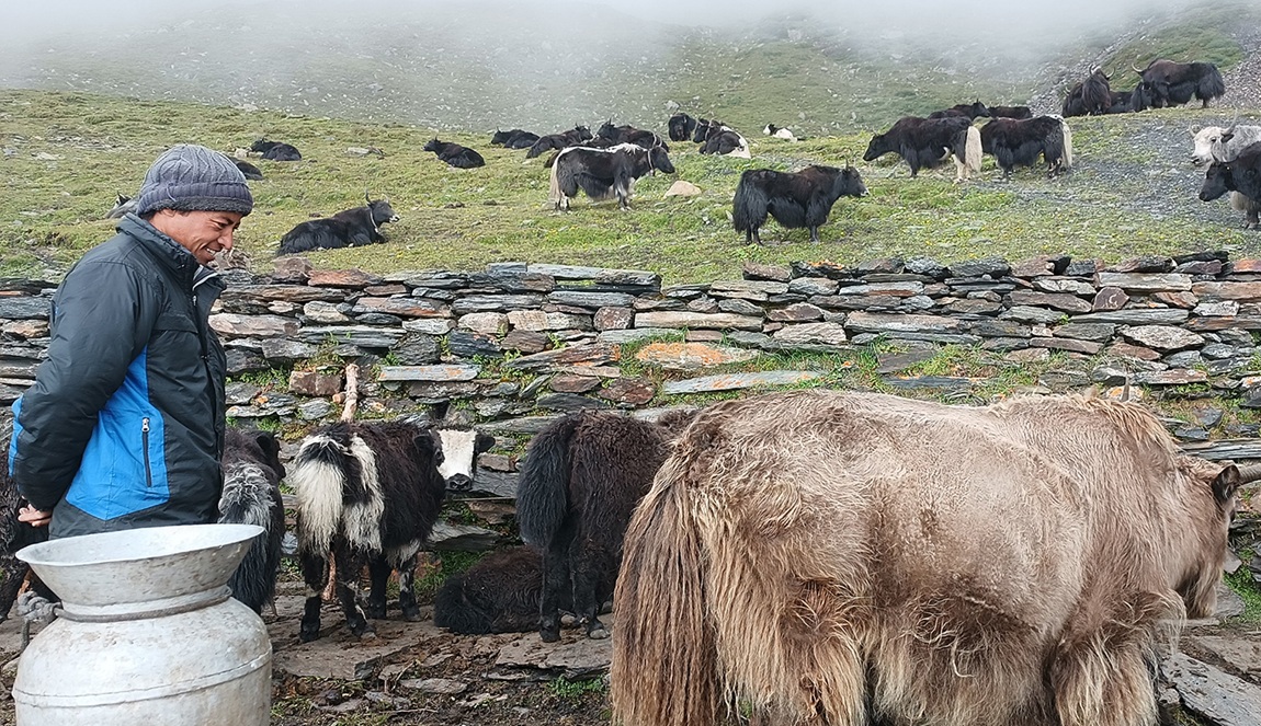 आजका तस्बिर- भदौ ८