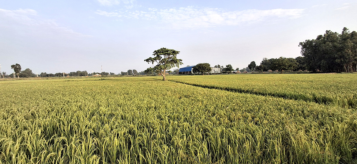 आजका तस्बिर- असार २
