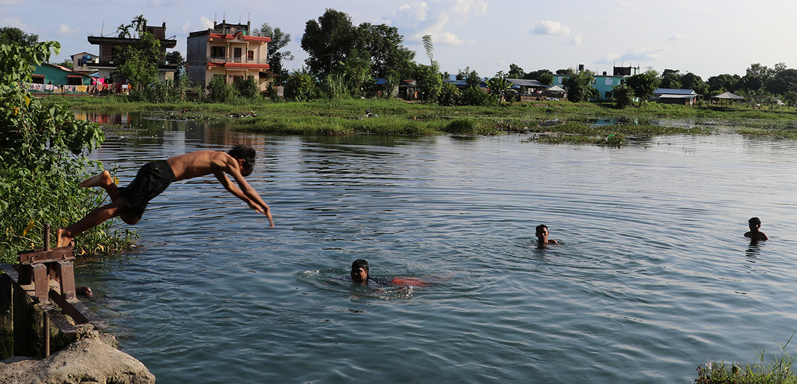 आजका तस्बिर- भदौ ८