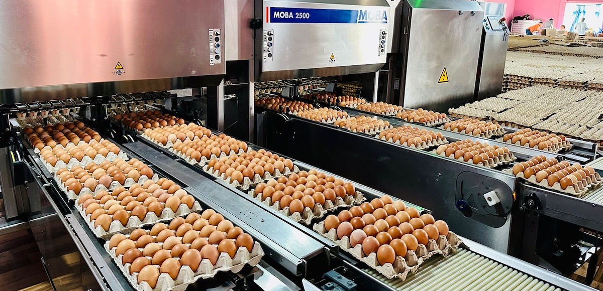 फाइल तस्बिर।