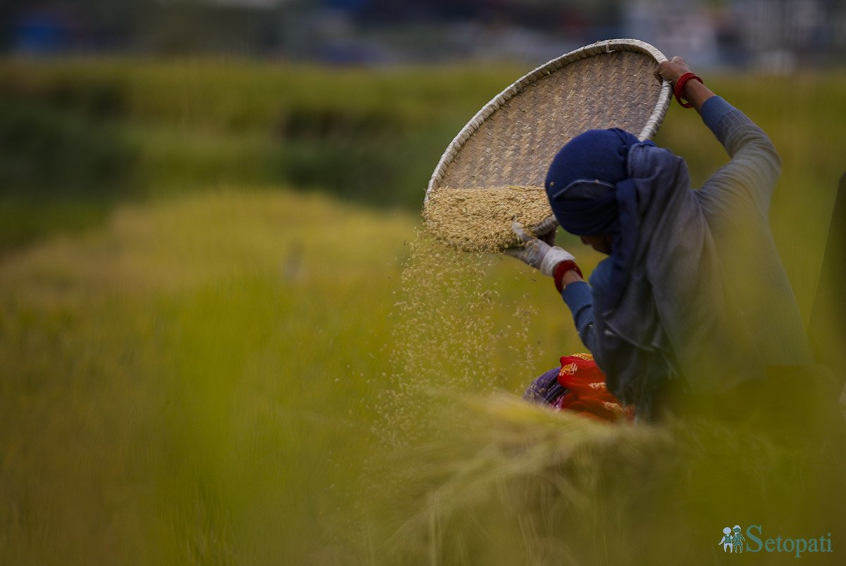फाइल तस्बिर।