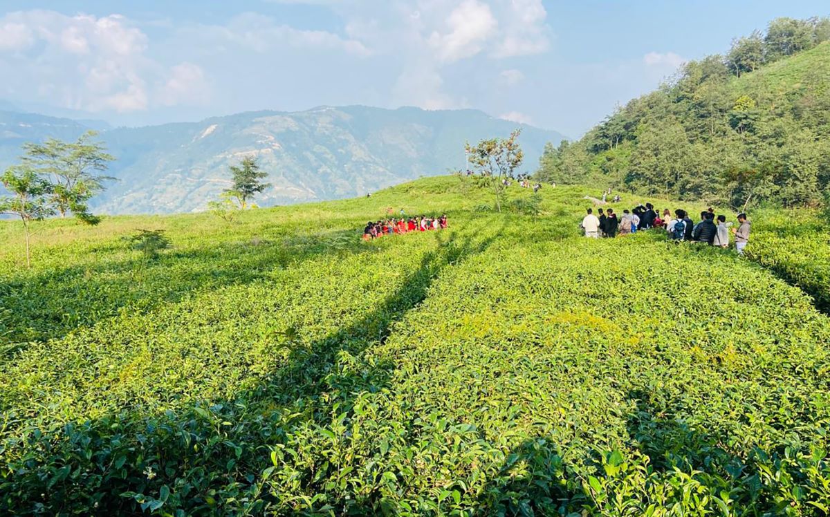 आजका तस्बिर- कात्तिक २४