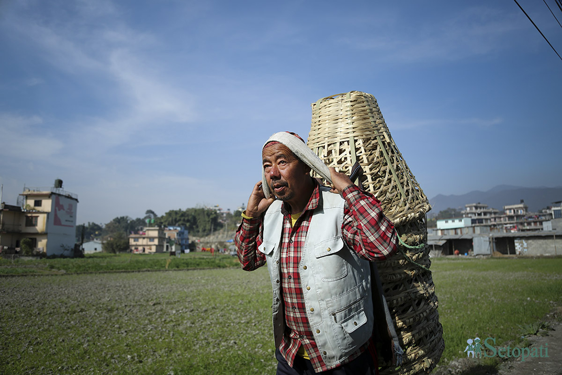 आजका तस्बिर- पुस ९