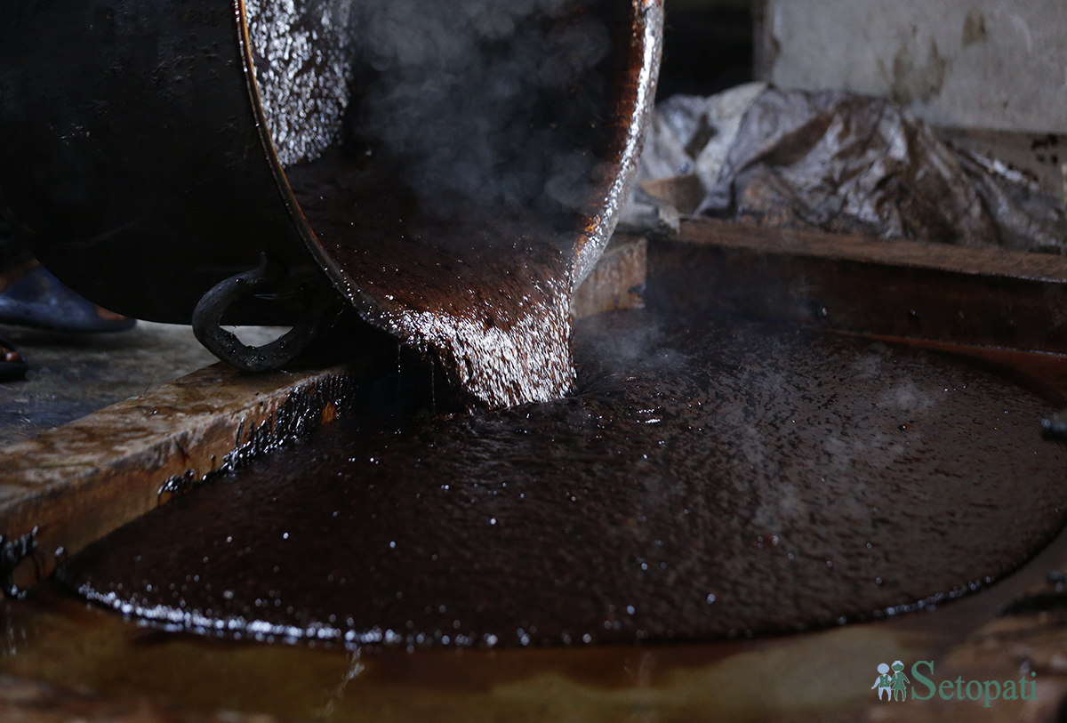 तस्बिर: नवीनबाबु गुरूङ