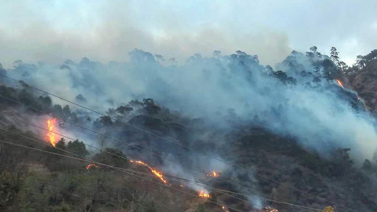 फाइल तस्बिर