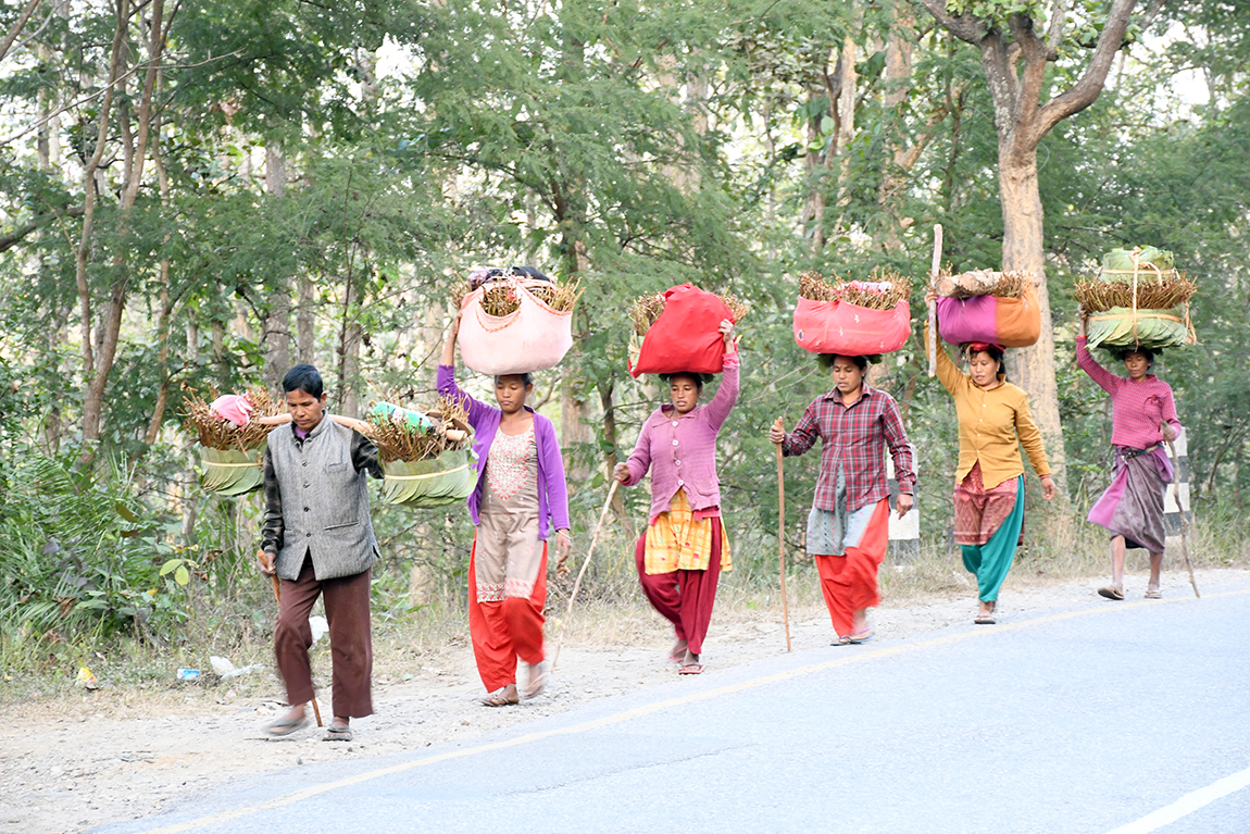 आजका तस्बिर-पुस ७