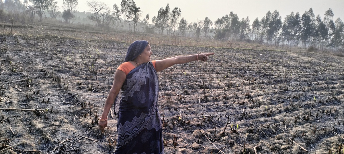 आगलागीले नष्ट भएको उखुबारीमा रितादेवी। तस्बिरः रोहित महतो/सेतोपाटी