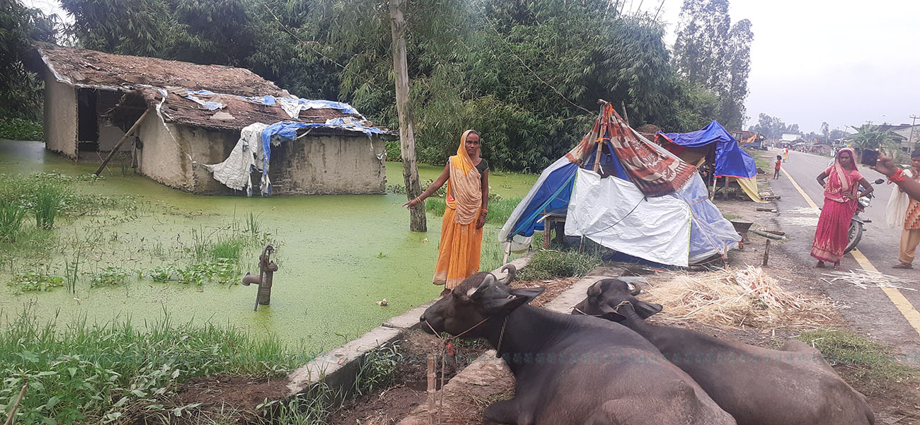 तस्बिर: रोहित महतो/सेतोपाटी।