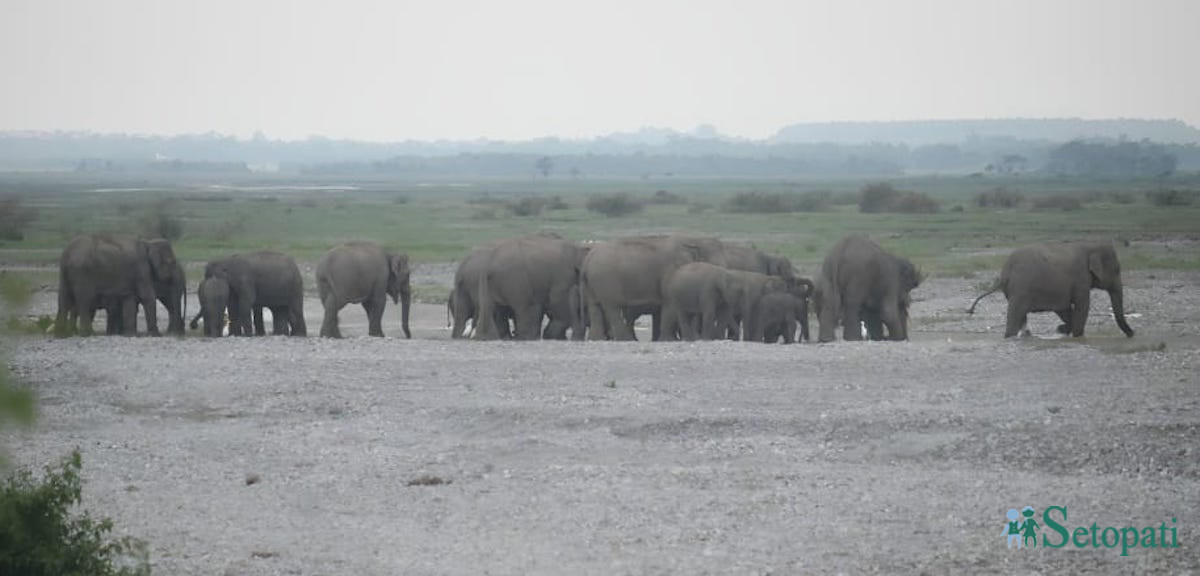 फाइल तस्बिर