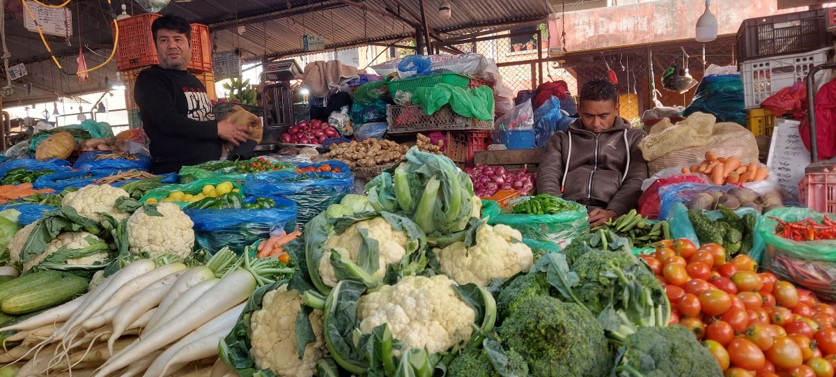 फाइल तस्बिर।