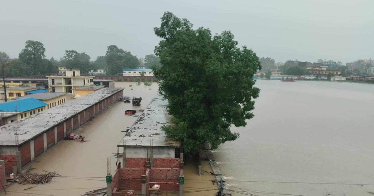 फाइल तस्बिर।