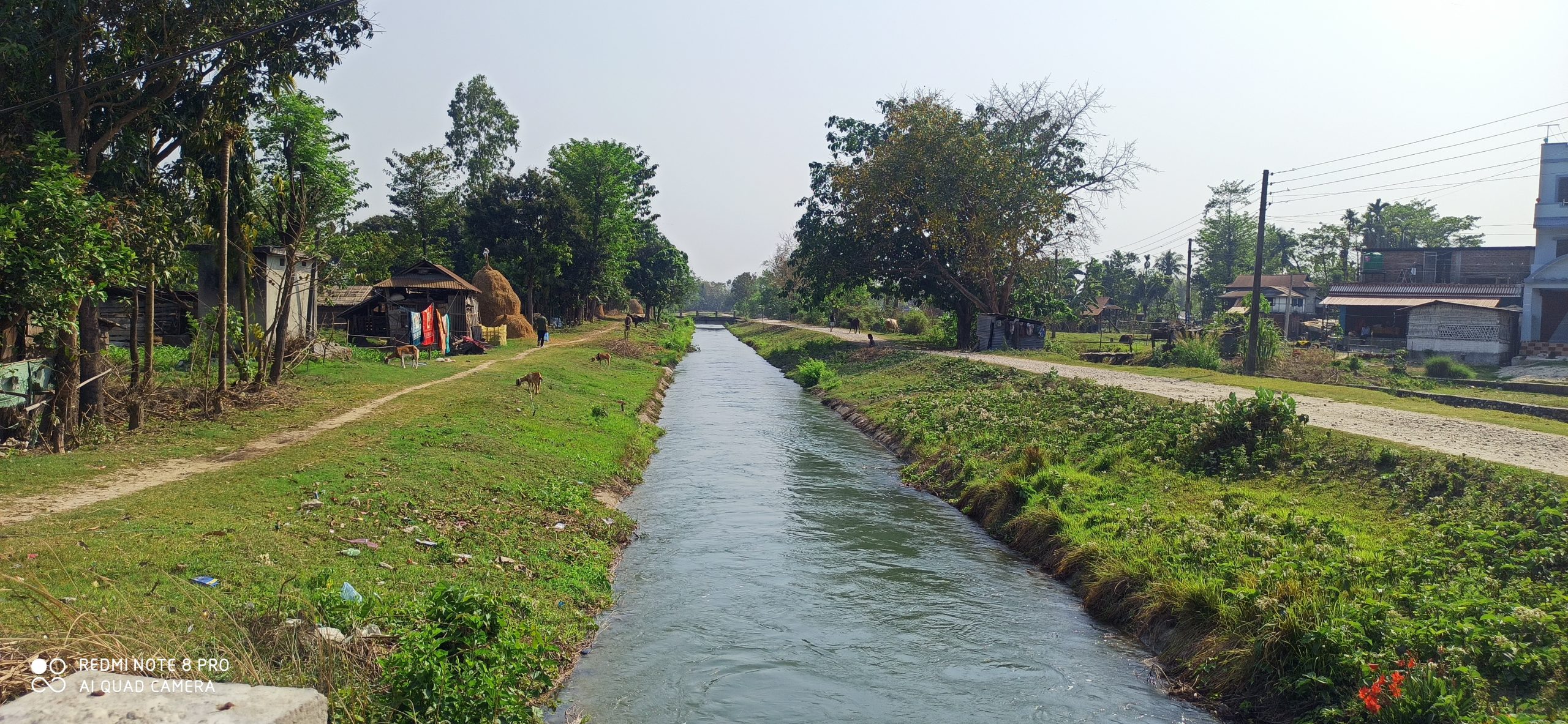 झापाको कनकाई नहर। तस्बिरः विनोद सापकोटा/सेतोपाटी