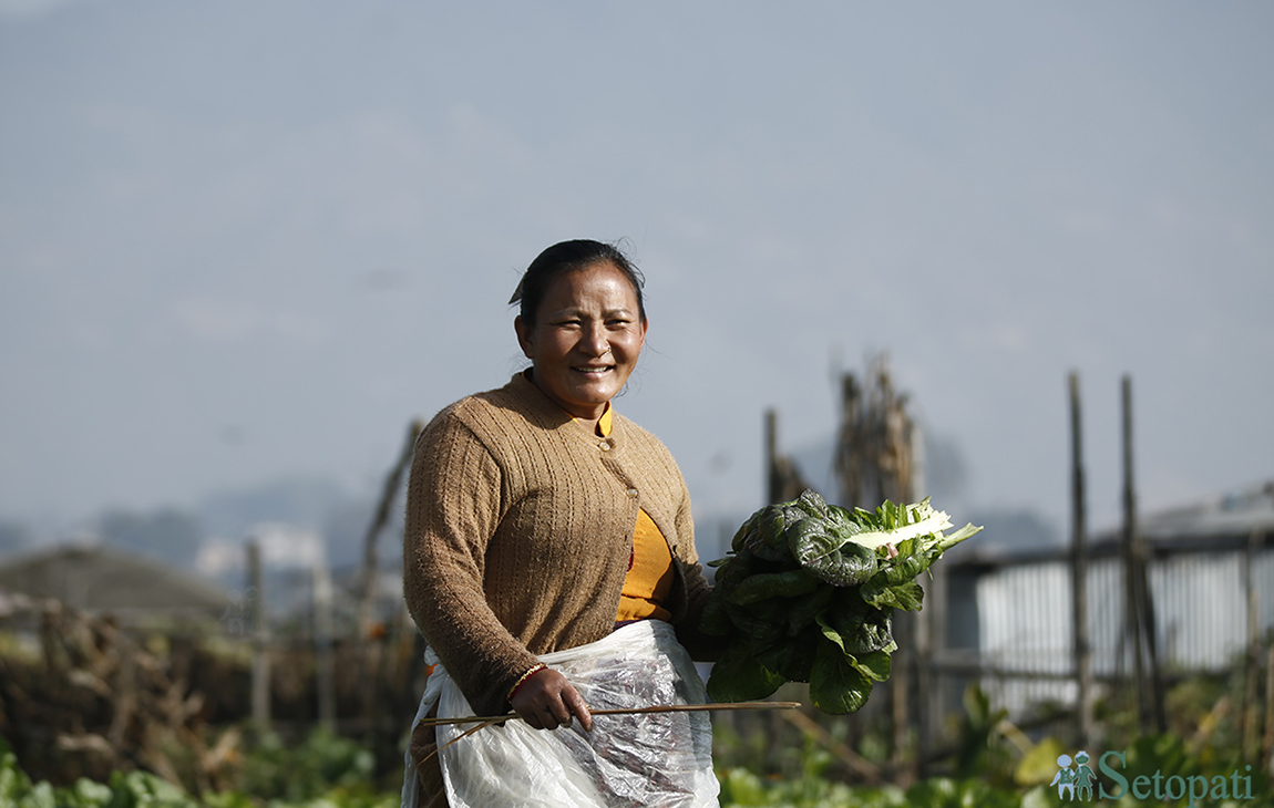 आजका तस्बिर- पुस ६