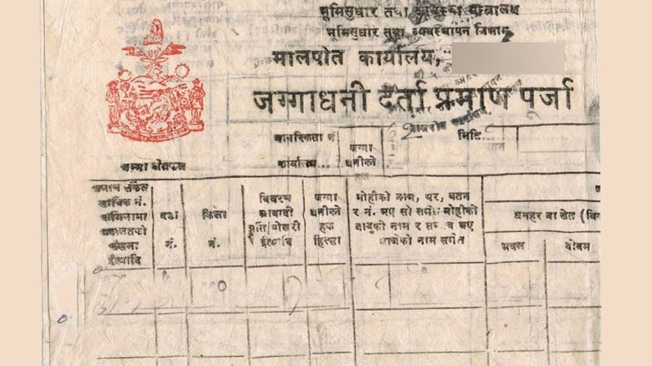 फाइल तस्बिर।