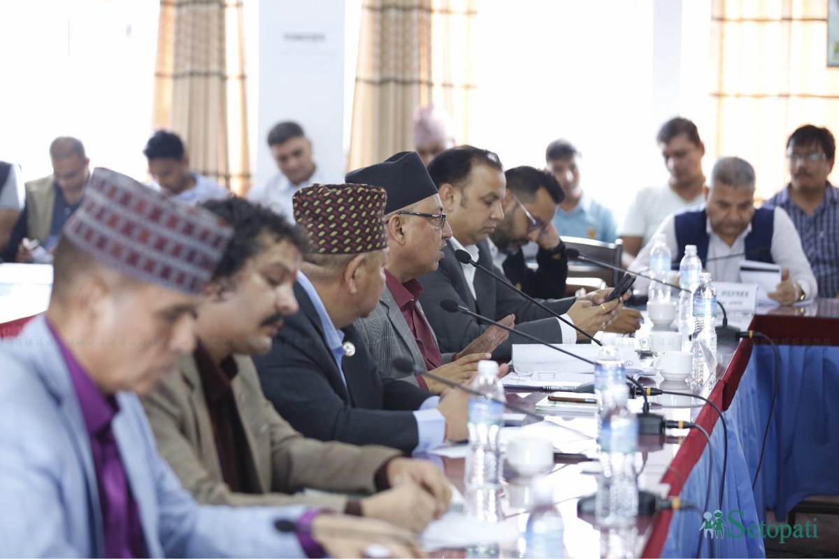 फाइल तस्बिर।