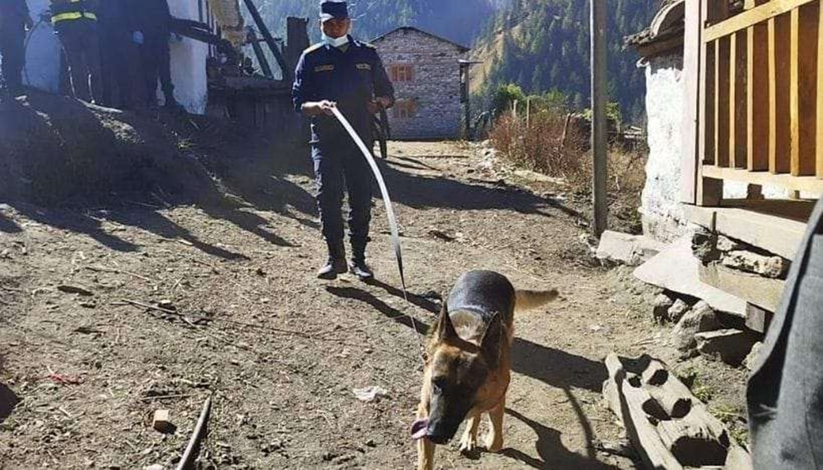 तस्बिर सौजन्यः कमल विक