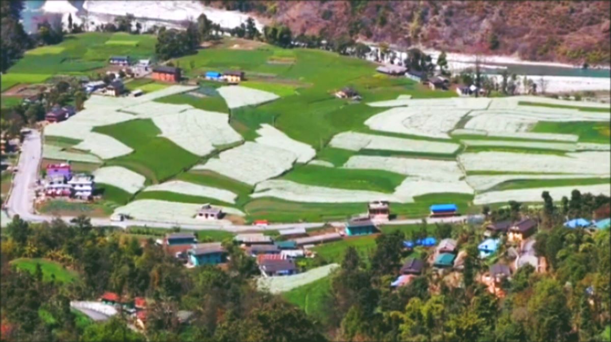 आजका तस्बिर- चैत ४