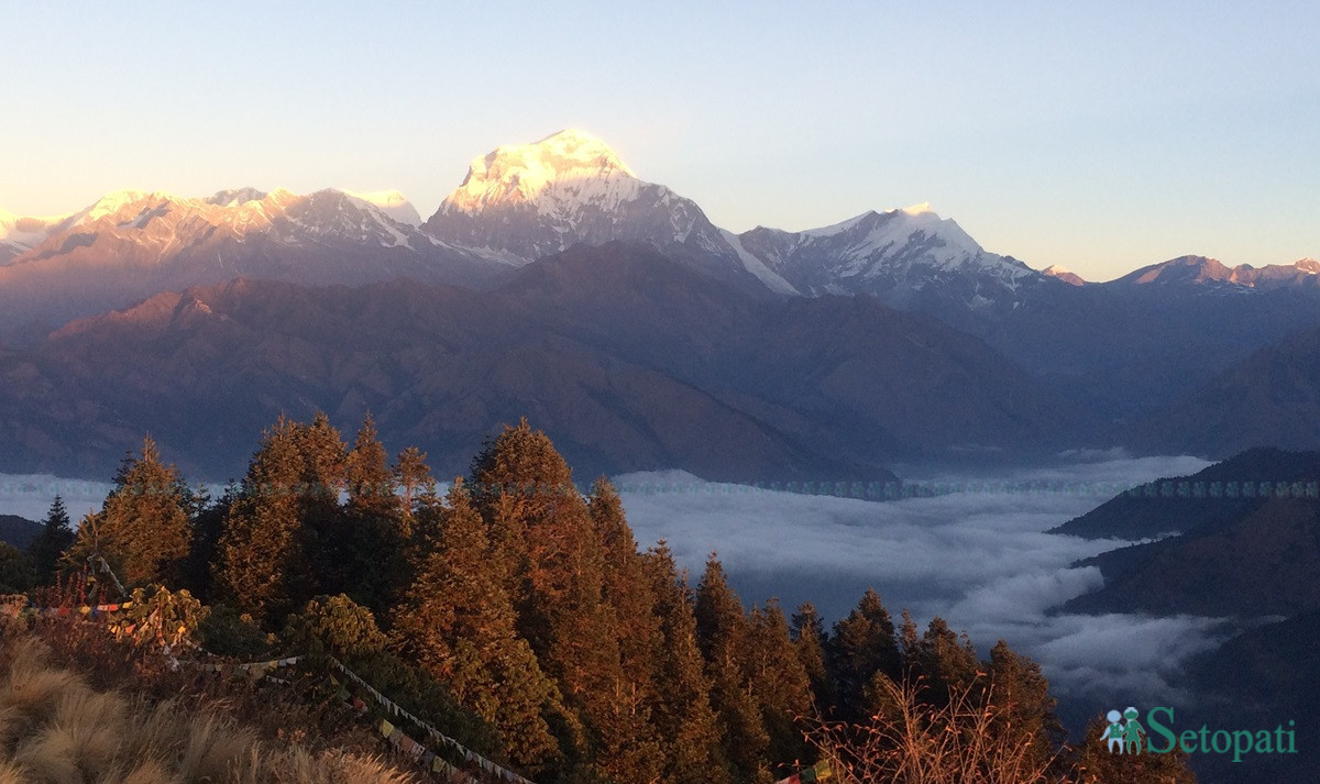 फाइल तस्बिर