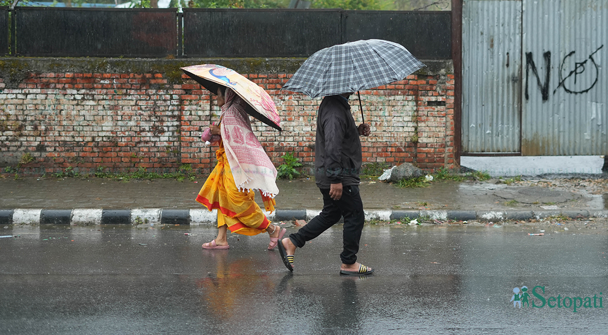 फाइल तस्बिर।
