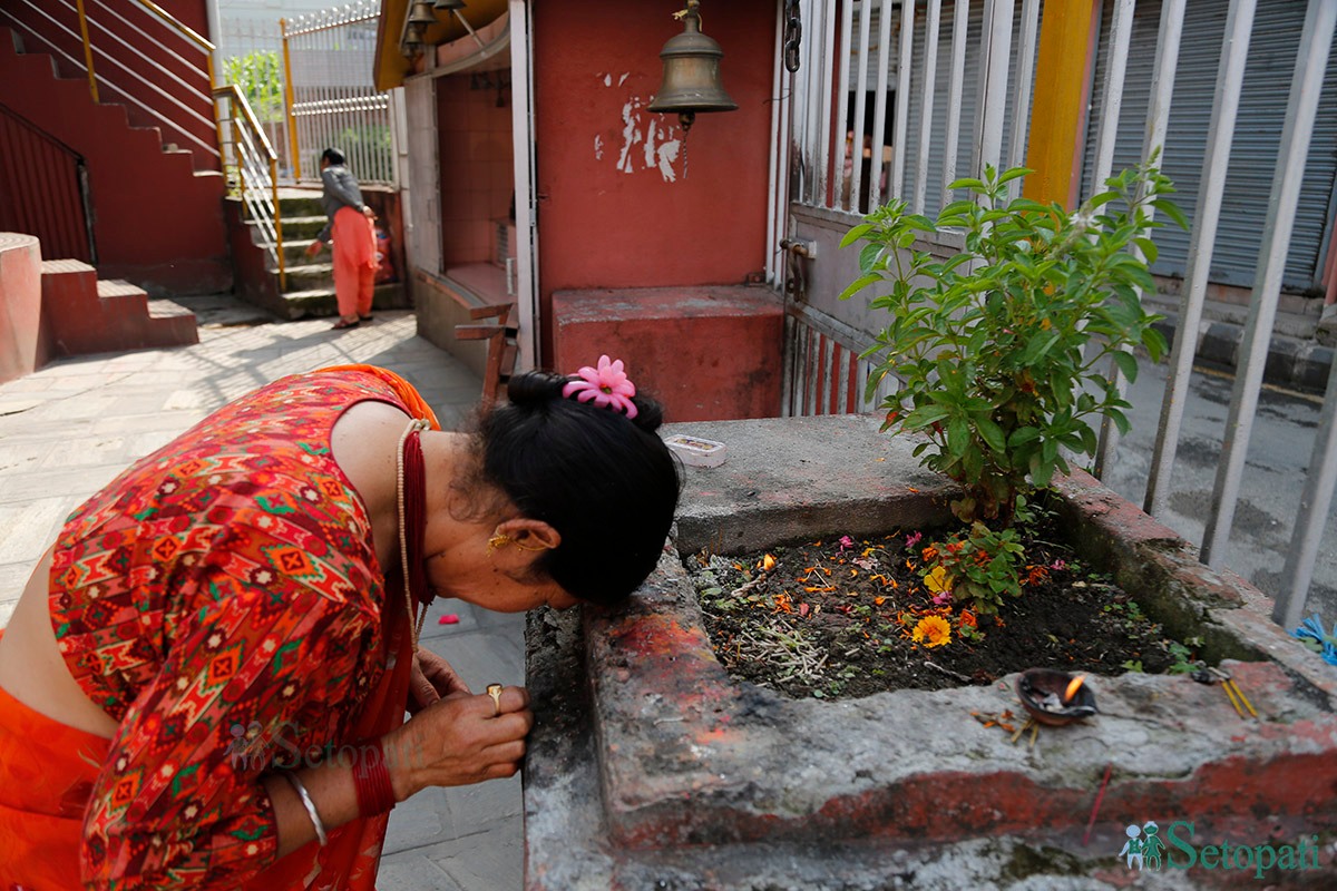 फाइल तस्बिर।