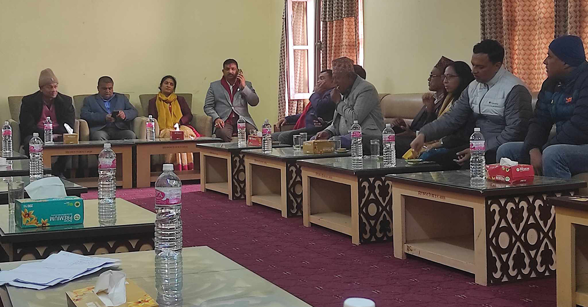 प्रदेशसभा हलमा एमाले, माओवादी, लोसपा, जनमत, एकीकृत समाजवादी लगायतका दलले आयोजना गरेको छुट्टै कार्यक्रम।